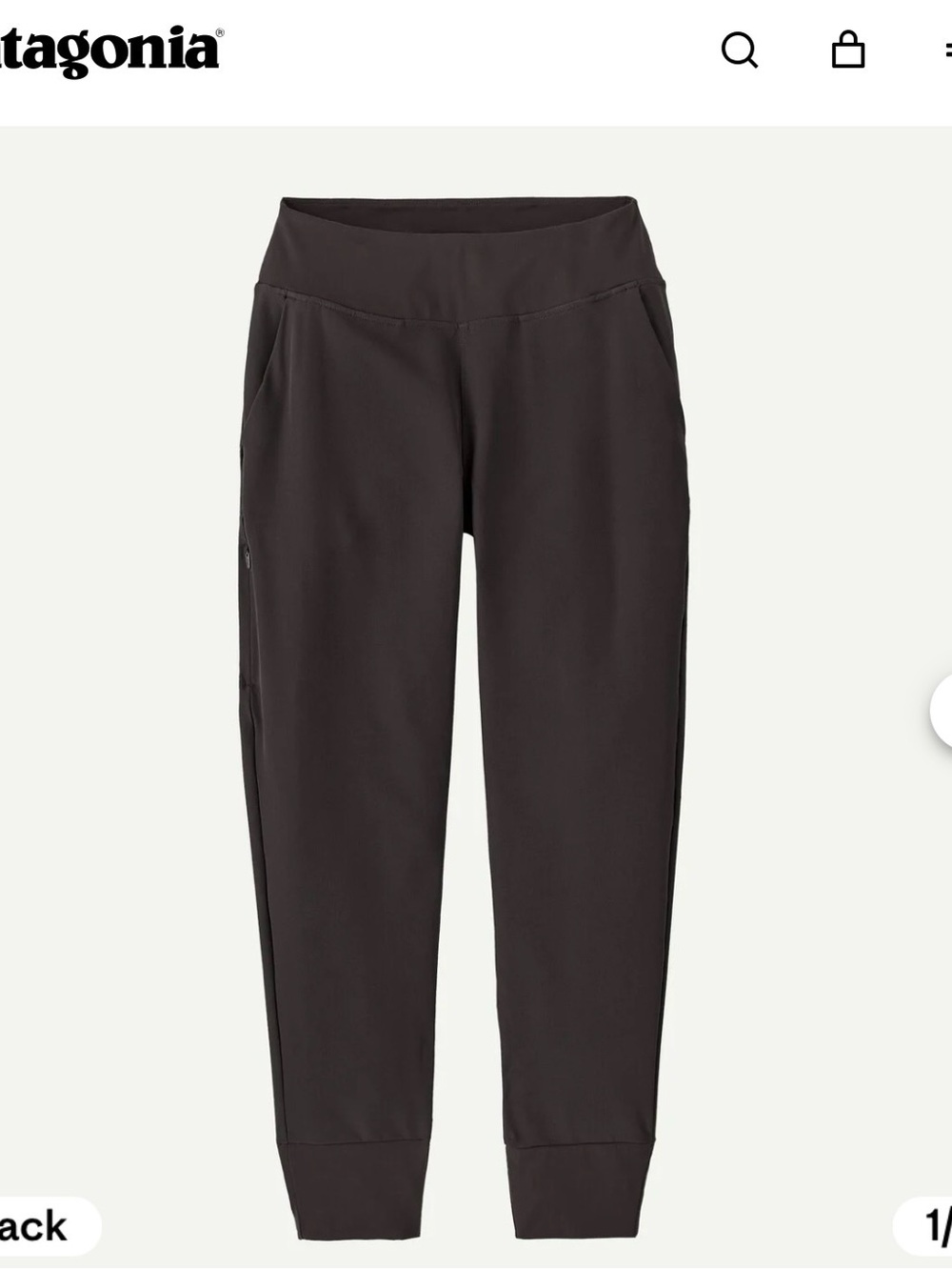 Patagonia women's happy hike pants
